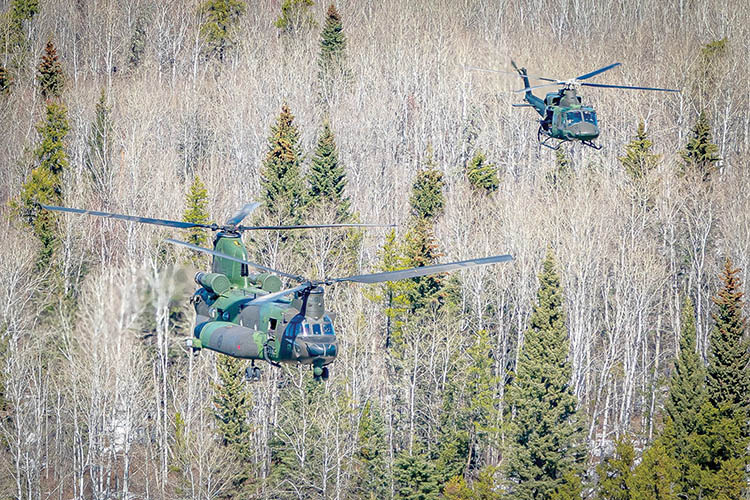 Two helicopters, one chinook, one griffin flying over forest, no leaves on trees except pine trees, photo taken from above
